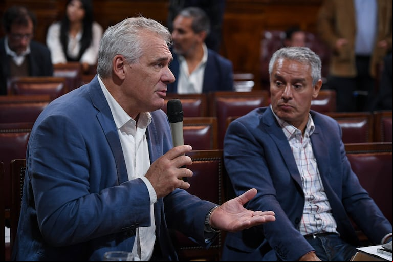 Fernando Carbajal, Diputado Nacional Democracia para Siempre, impulsa un nuevo debate por Ficha Limpia. (Foto: Charly Diaz Azcue / Comunicación Senado)