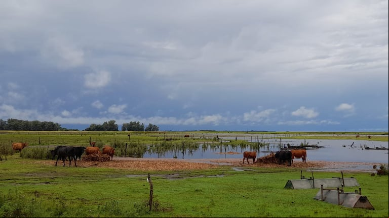 Florentino Ameghino escribió un libro titulado “Las secas y las inundaciones en la Provincia de Buenos Aires”, publicado en 1884. En esta obra, analizó cómo afectaban las sequías e inundaciones a los campos bonaerenses. (Foto: X elchamaco_1).