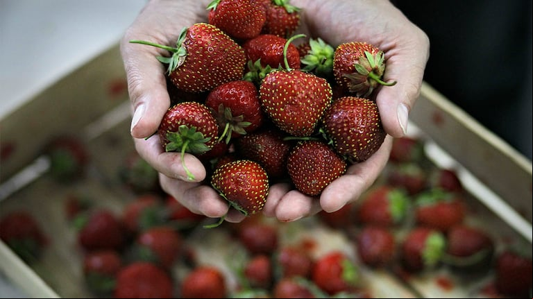 (Foto: AP)
