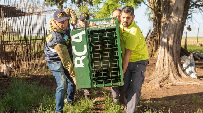 (Foto: Prensa Ambiente)