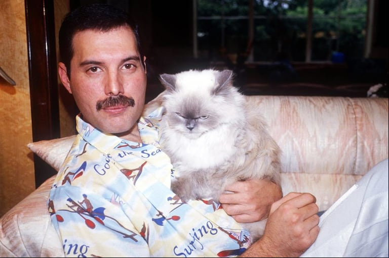 Freddie con Tiffany (Foto: Aqueenofmagic.com).