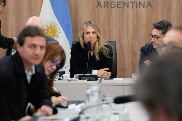 Gabriela Brouwer de Koning, diputada UCR, presidirá el plenario este martes por Jubilaciones. Foto Cámara de Diputados