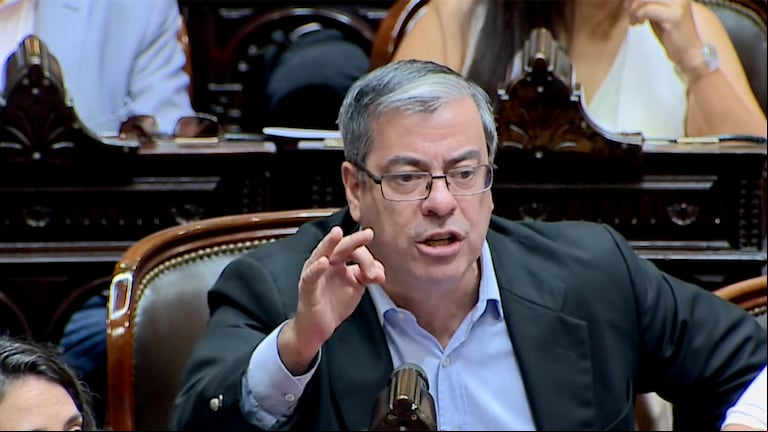 Germán Martínez también salió al cruce. (Foto: Cámara de Diputados)