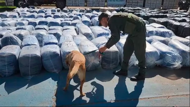 Golpe al contrabando en Córdoba: secuestraron siete mil kilos de hojas de coca escondidos en un camión. (Foto: gendarmería)