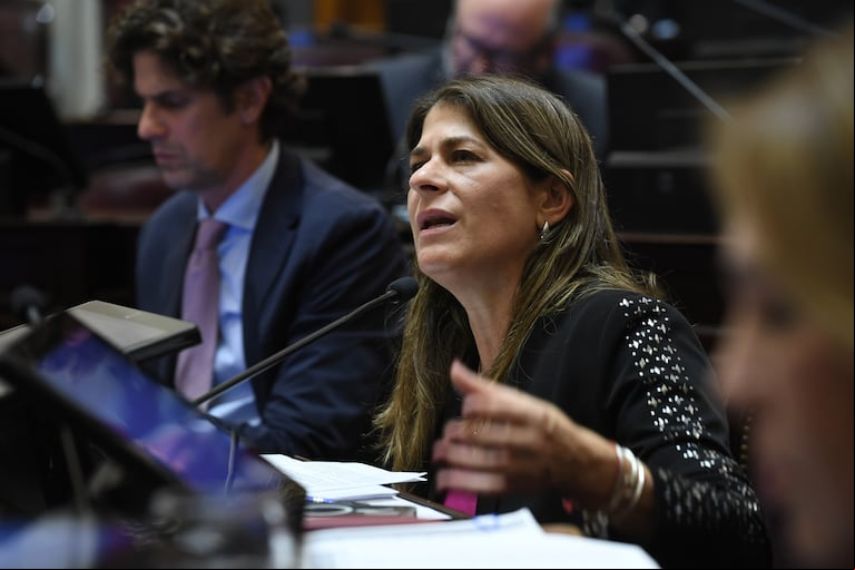 Guadalupe Tagliaferri, senadora nacional Pro, encabeza la Comisión de Acuerdos que deberá resolver los pliegos de la justicia.  Fotos: Juan Carlos Cardenas / Comunicación Senado