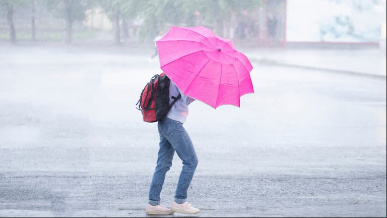 Hay alerta amarilla por tormentas y vientos fuertes: las zonas afectadas este martes 11 de marzo (Foto: Adobe Stock).