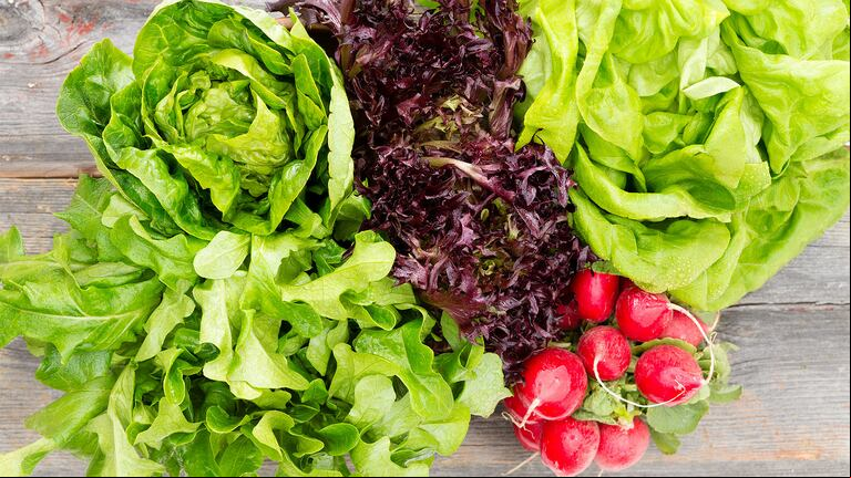 Hay ciertas hortalizas que es mejor cocinar para evitar problemas de salud. (Foto: Adobe)