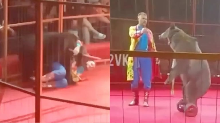 Video Placeholder
