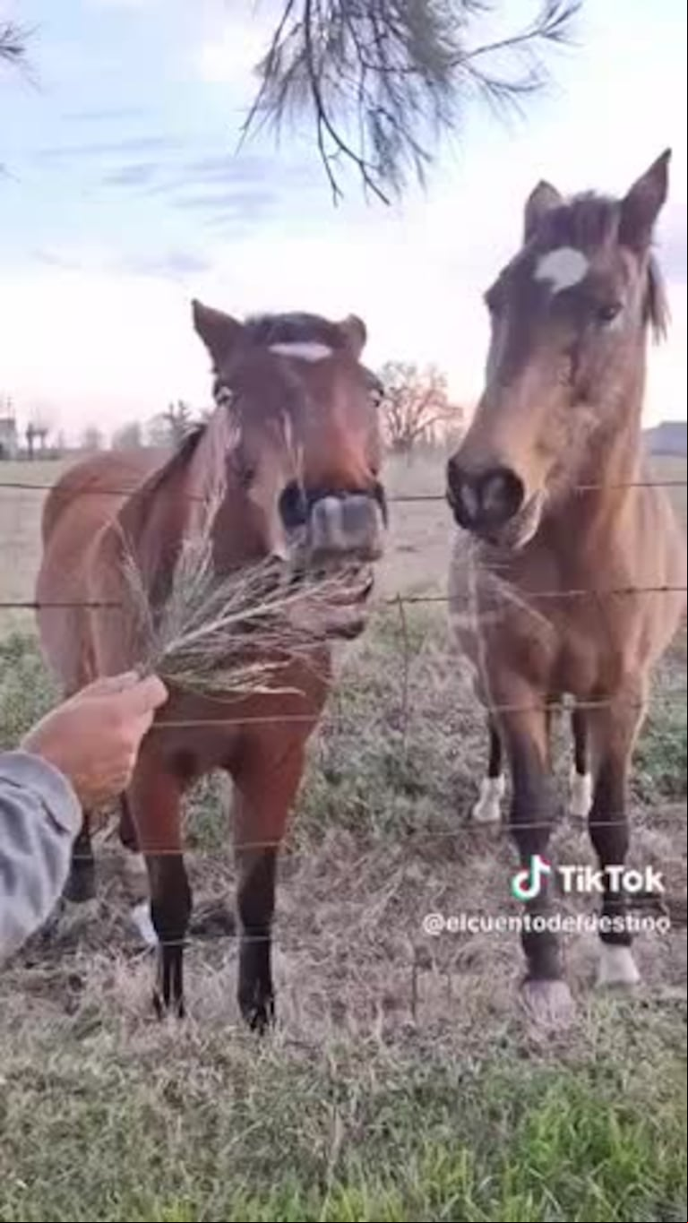 Video Placeholder