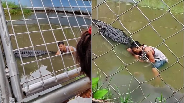 Video: un hombre fue atacado por un cocodrilo en un zoológico mientras intentaba sacarse una selfie 