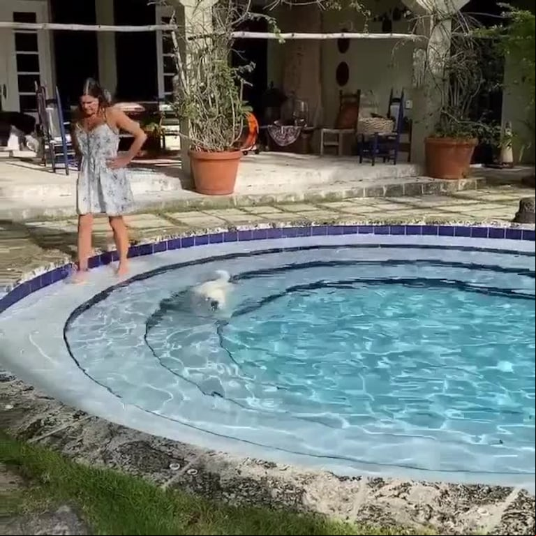 Video Placeholder