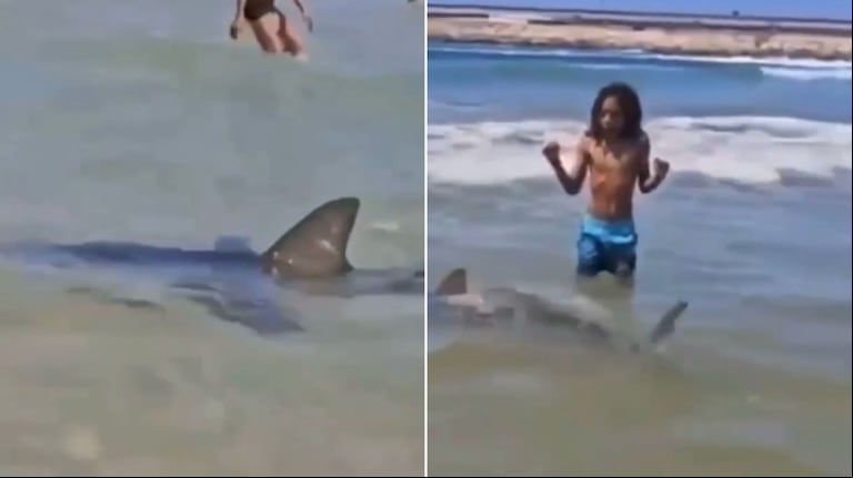 Un tiburón atacó a un buzo mientras nadaba en el mar y los turistas grabaron el dramático momento