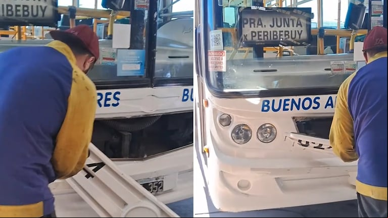 Un chofer escuchó ruidos en el motor del colectivo, lo revisó y quedó en shock con lo que encontró