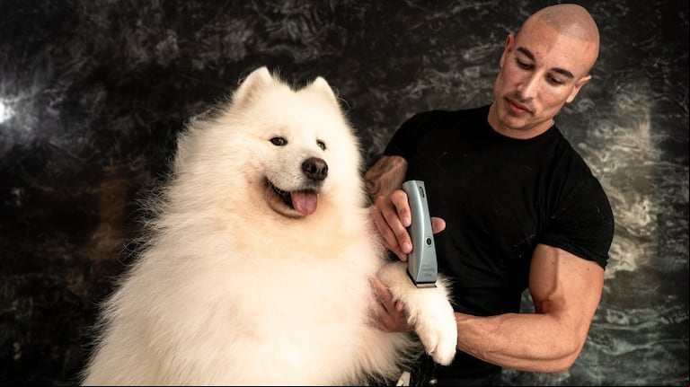 Fue profesor de biología y una llamada le cambió la vida: hoy es el peluquero canino que eligen los famosos