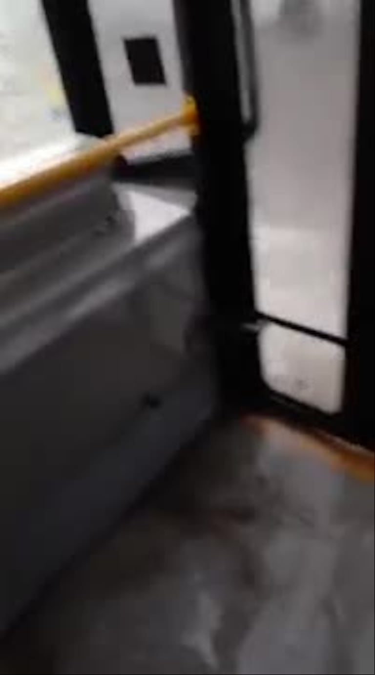 Video Placeholder