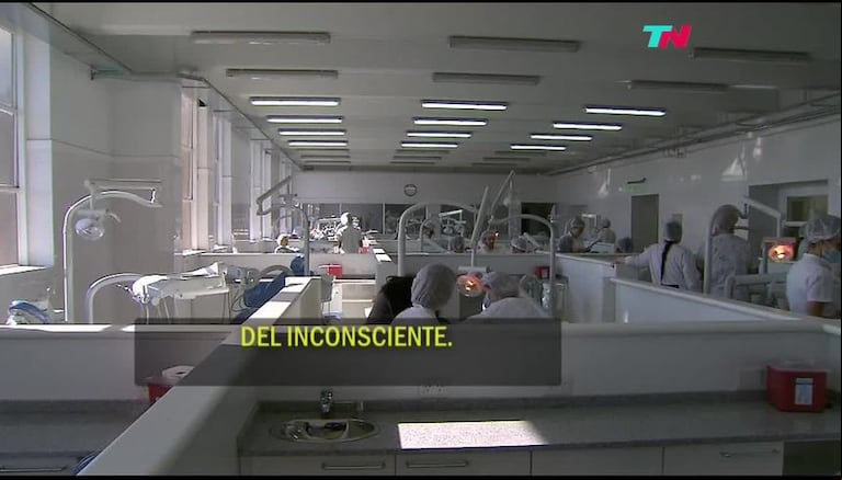 Descodificación dental: ¿tus dientes hablan de vos?