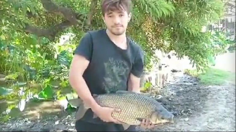 “Es un monstruo”: fueron a pasar el día a un parque de La Plata y encontraron un pez en peligro de extinción 