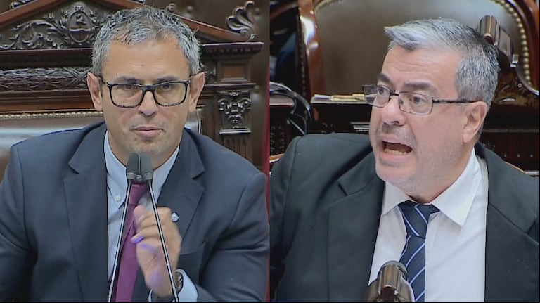 El jefe del bloque de UxP insultó a Martín Menem y lo invitó a pelear en medio de la sesión en Diputados 