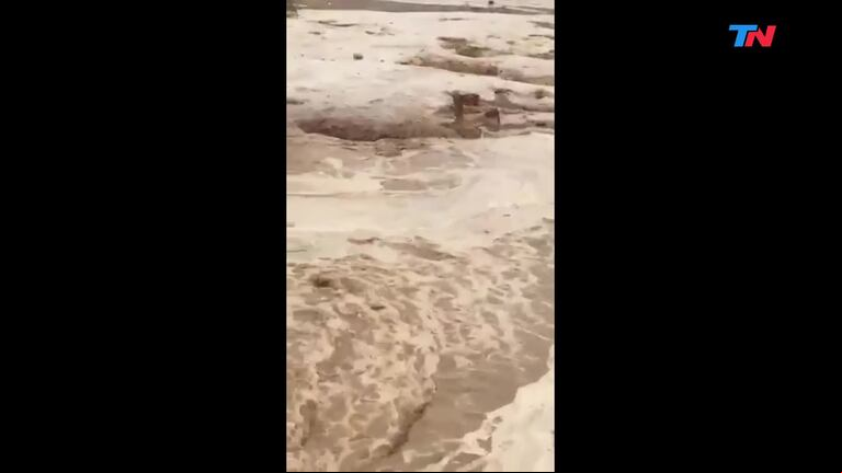 Las imágenes de las inundaciones en Arabia Saudita: un desierto bajo el agua y camellos que luchan por su vida 