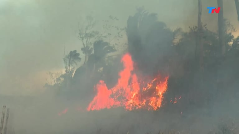 Brasil rechazó ayuda del G7 para combatir los incendios en la Amazonia: "Mejor reforesten Europa"