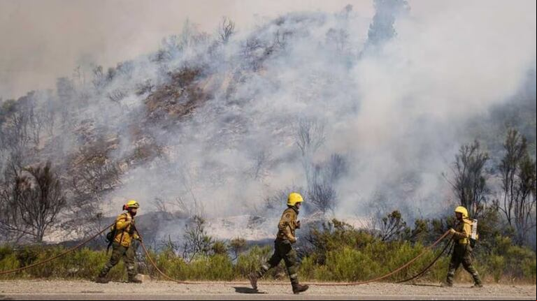 Incendios en la Patagonia: liberaron a seis de los detenidos en El Bolsón. (Foto: NA)
