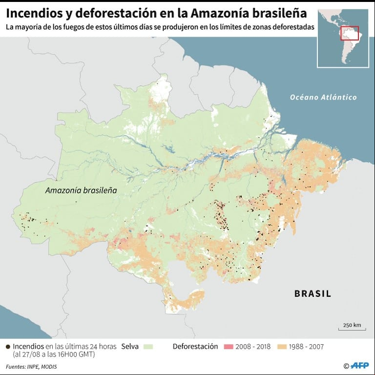 Incendios y deforestación en la Amazonia. (Infografía: AFP).