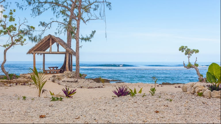 Inventó un sistema, ganó 14 veces la lotería y tuvo que escapar a una playa paradisíaca. (Foto AdobeStock)