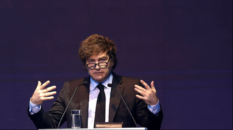 Javier Milei durante la exposición ante el Congreso de IAEF en Buenos Aires. (Foto: Reuters)