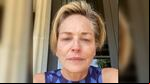 La actriz sufre por la perdida de su sobrino. (Foto: archivo Instagram @sharonstone)