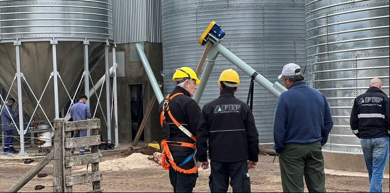 La AFIP intensifica los controles en distintos establecimientos agropecuarios. (Foto: archivo Clarín)