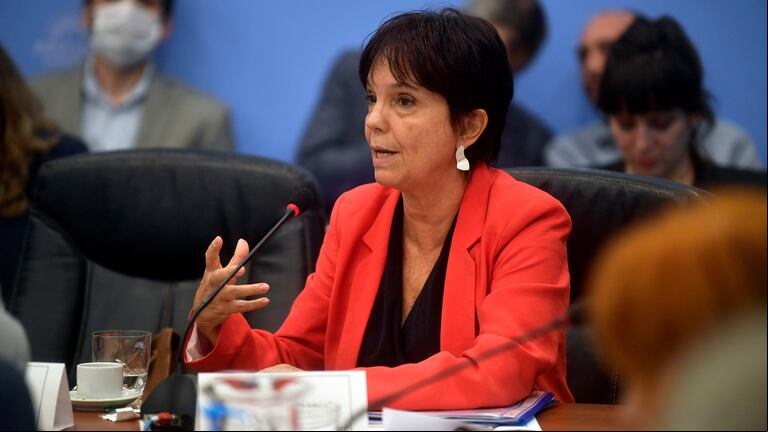 La AFIP, que conduce Mercedes Marcó del Pont, avanza en el cambio de fórmula para la valuación fiscal de inmuebles en CABA que se toman para el Impuesto a los Bienes Personales. (Foto: AFIP)