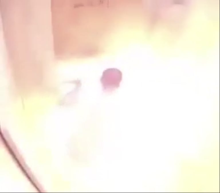 La batería explotó y prendió fuego el interior del ascensor. (Captura: X/@ZUIEZHICHEN)