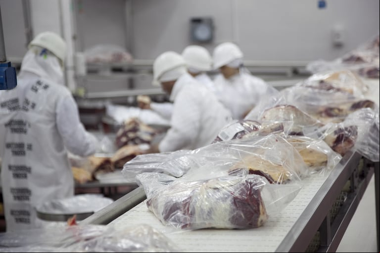 La categoría de riesgo asignada complica la exportación de carne hacia la Unión Europea, por las mayores exigencias de trazabilidad y certificación. (Foto: SENASA).