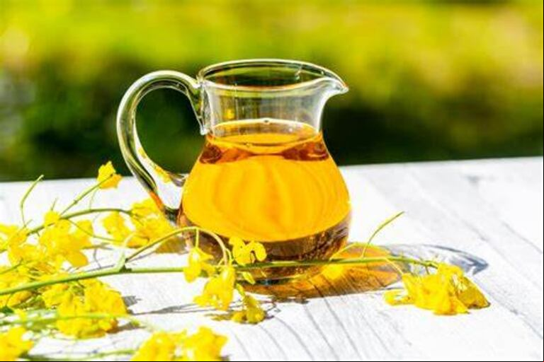 La colza, un cultivo versátil, se destina tanto al consumo humano a través de aceites como a la producción de harina, según afirman. (Foto: Topsanté).