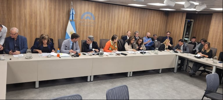 La Comisión de Salud de Diputados analizará este martes la situación del Hospital Garrahan. (Foto: prensa diputado Pablo Yedlin)
