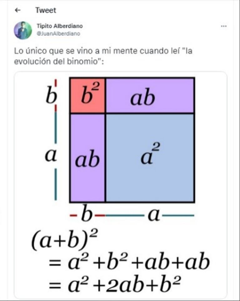 La comparación matemática (Foto: captura Twitter/@juanalberdiano)