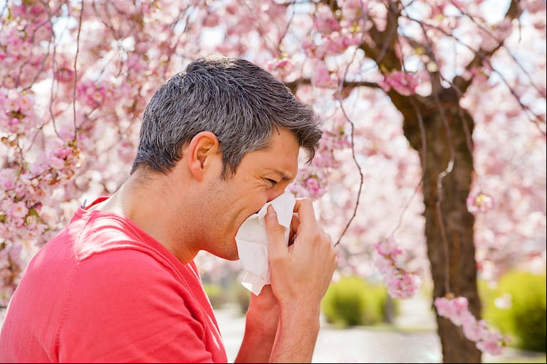La congestión nasal puede ser una advertencia de la presencia de una alergia. (Foto: Adobe Stock)