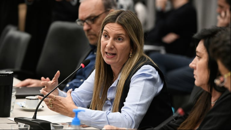 La diputada Silvia Lospennato, preside la comisión de Peticiones Poderes y Reglamento del Cuerpo . (Foto: prensa Congreso)