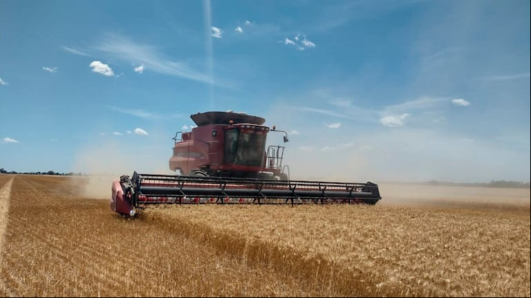 La División de Maquinaria Agrícola de la Asociación de Concesionarios de Automotores de la República Argentina (ACARA) informó que en el mes de abril se patentaron 557 unidades, entre cosechadoras, tractores y pulverizadoras. (Foto: Ingeniero agrónomo Mariano García).