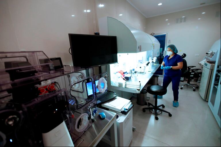 La fecundación in vitro es el método de reproducción asistida más usado. (Foto: EFE/ Bienvenido Velasco)