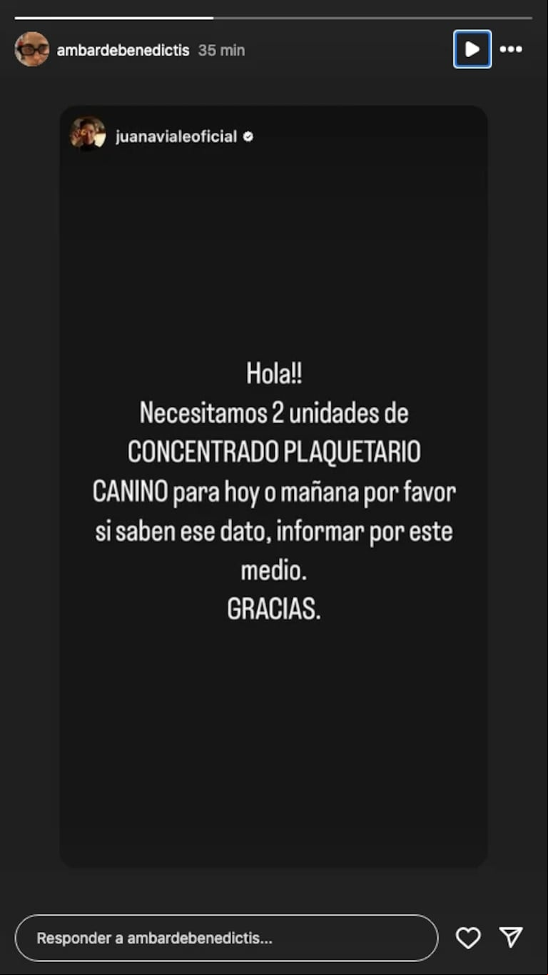 La historia de Juana Viale que reposteó Ámbar de Benedictis (Foto: captura Instagram/ambardebenedictis)