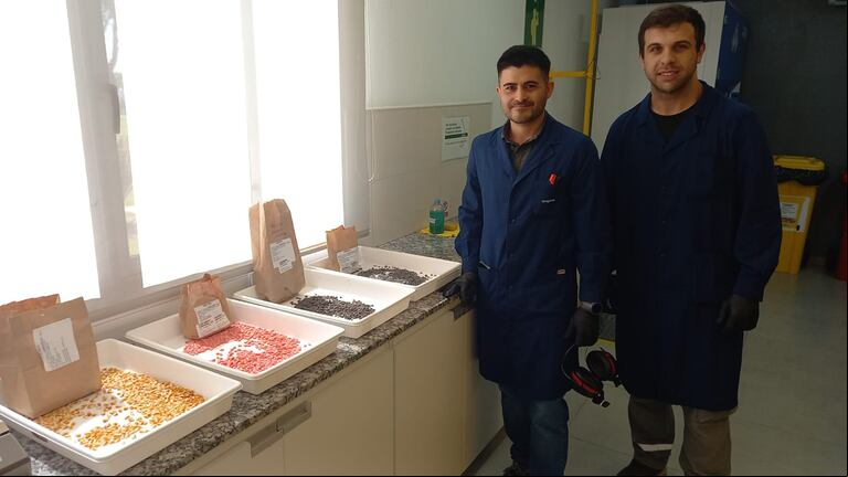 La industria de la semilla "genera empleo directo e indirecto, contribuyendo al desarrollo económico y la capacitación de la mano de obra local". (Foto: TN).
