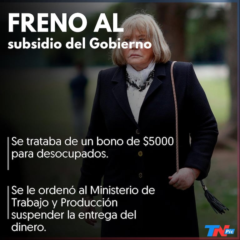 La Justicia frenó un bono del Gobierno para desocupados porque podría tener fines electorales