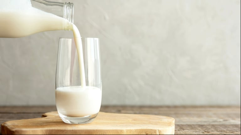 La leche y sus derivados muestran una recuperación sostenida, impulsada por la suba en las ventas y el consumo, según la OCLA.(Foto: Adobe Stock).