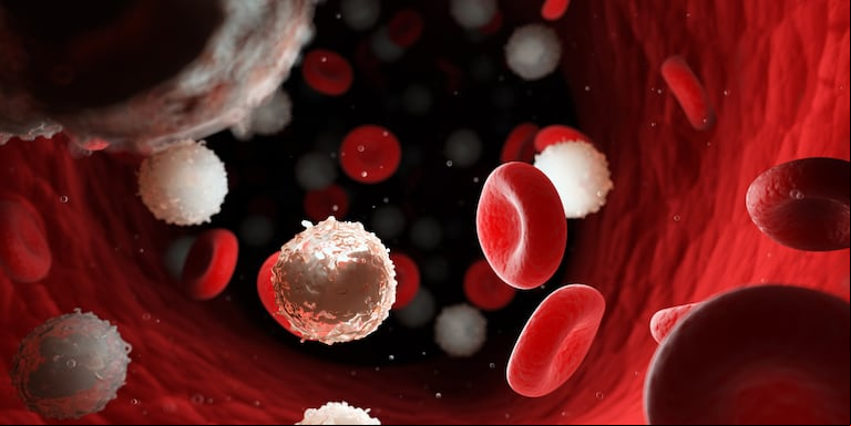 La leucemia mieloide crónica es un tipo de cáncer de la médula ósea. (Foto: Adobe Stock)