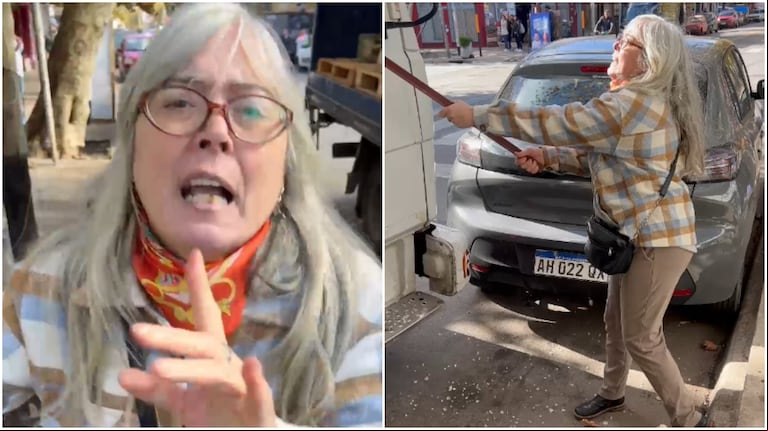 La mujer se identificó frente a cámara luego de atacar el camión con un fierro (Foto: captura de video TN).