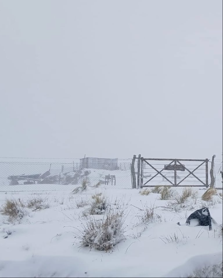 La nieve cubrió las tranqueras y dejó un manto blanco en los campos cordobeses. (Foto: Facebook Alto impacto).
