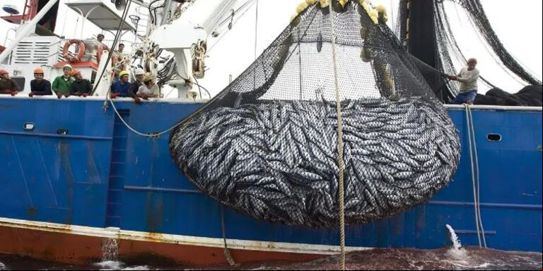 La organización Oceana informó que entre, 2018 y 2021, varios de los barcos chinos que estaban operando fuera de la Zona Económica Exclusiva (ZEE) de la Argentina apagaron sus sistemas de ubicación. (Foto: imagen ilustrativa/ Globalports)