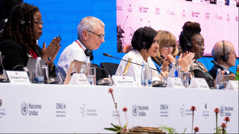 La presidenta de la COP16 y ministra de Ambiente de Colombia, Susana Muhamad, dando cierre a la cumbre de biodiversidad. (Foto: Reuters)