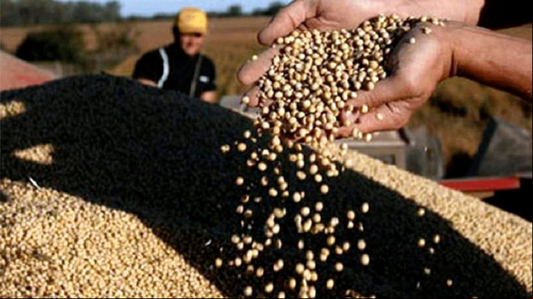 La propuesta de aumento de retenciones según la BCBA podría representar un incremento del 18% en la recaudación por este tributo, llegando a U$S 10.071 millones en 2024. (Foto: Télam).